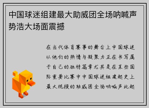 中国球迷组建最大助威团全场呐喊声势浩大场面震撼